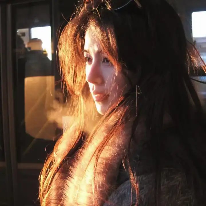 金鹰宝藏